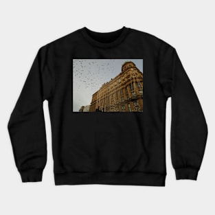 Pigeons, Argyle Street, Glasgow Crewneck Sweatshirt